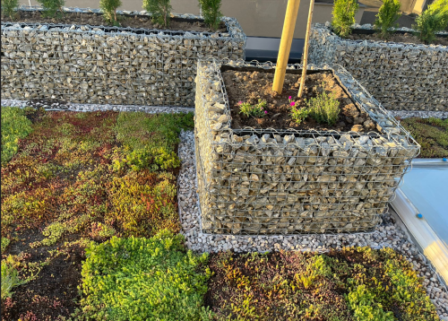 Rekonstrukce terasy na relaxační vegetační střechu