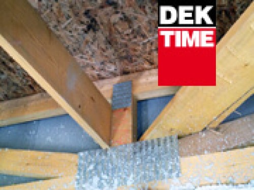 Ještě nebydlí, a už mají plesnivou střechu