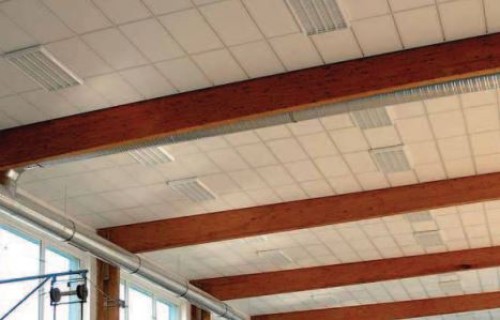 DOBA DOZVUKU V TĚLOCVIČNĚ