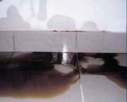 HYDROIZOLAČNÍ DEFEKTY SPODNÍ STAVBY RODINNÉHO DOMU