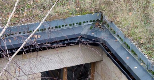 ŠIKMÁ VEGETAČNÍ STŘECHA PO OSMI LETECH OD DOKONČENÍ