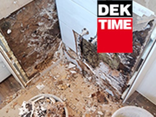 Poškození podlahy a nosných stěn dřevostavby rodinného domu