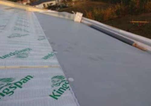 VEGETAČNÍ SKLADBA NA ŠIKMÉ ČLENITÉ STŘEŠE